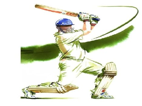 Cricket match winning celebration, hangama